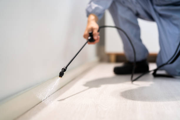 Licensed Exterminator service in New Castle, IN - Show Me Pest Control